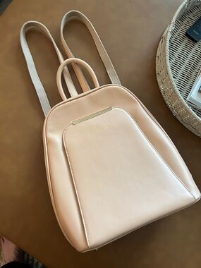 Skye LeFevre Blush Pink Backpack with Gold Accents